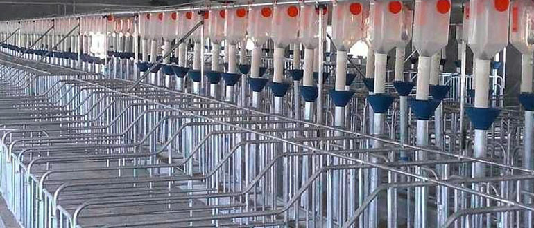 畜牧業欄架(豬舍)