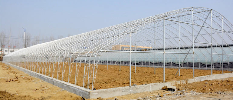農(nóng)業(yè)養(yǎng)殖大棚